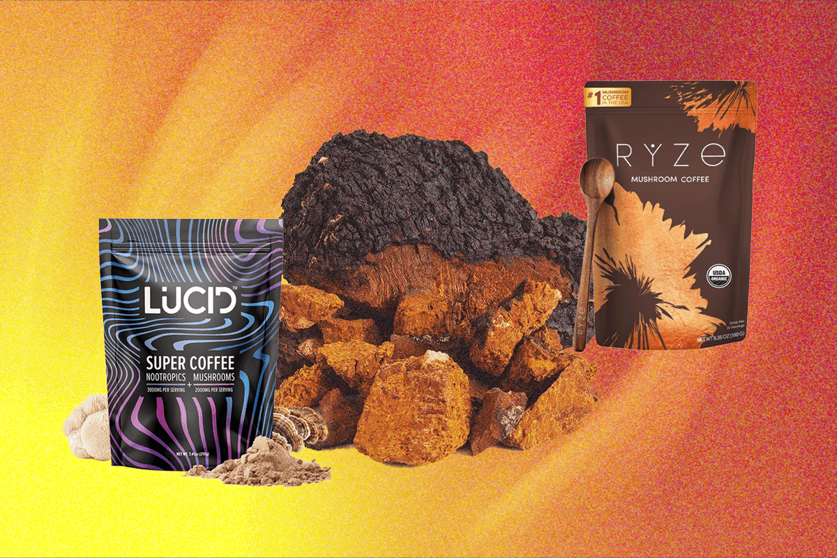 Manfaat Jamur Fungsional untuk Kesehatan Otak dan Imun Masa Kini