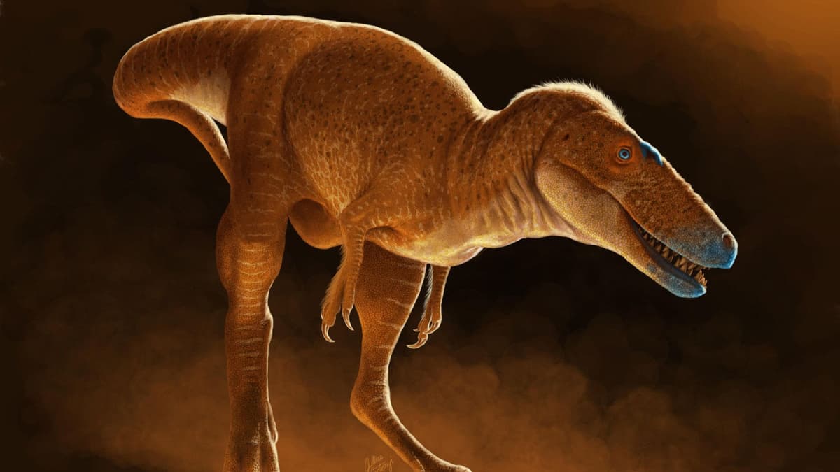 Khankhuuluu, Nenek Moyang T. rex yang Membuka Rahasia Evolusi Tyrannosaurus