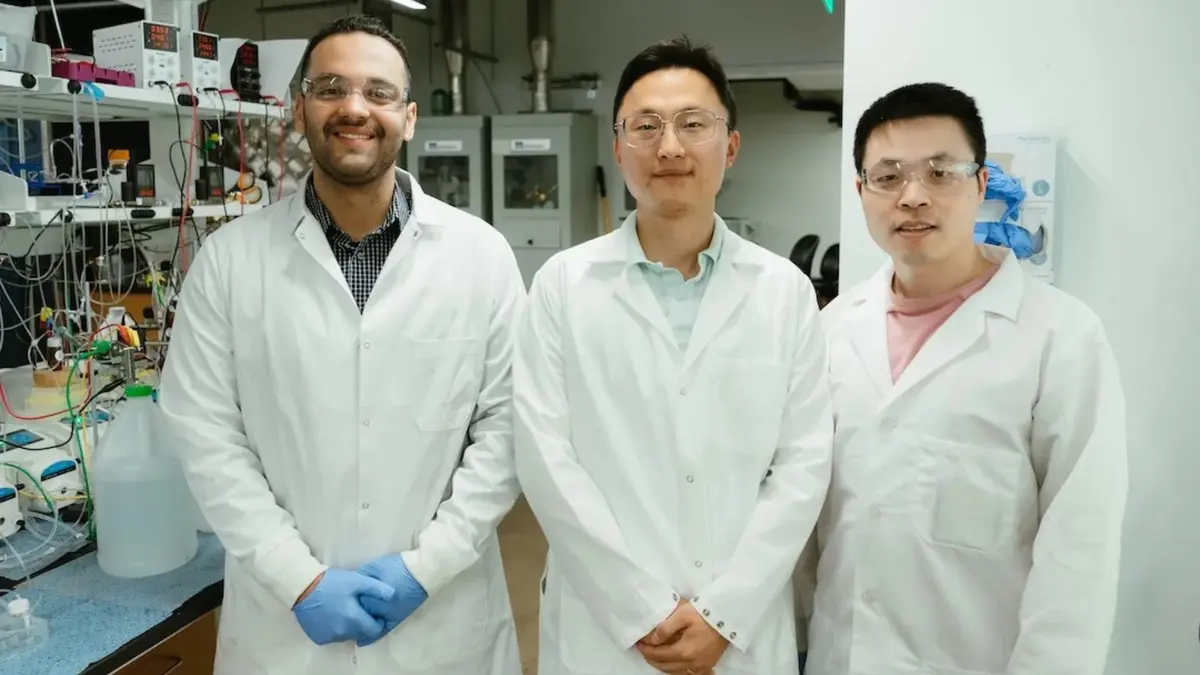 Solusi Mudah Atasi Penumpukan Garam, Bikin Sistem Tangkap Karbon Lebih Tahan Lama