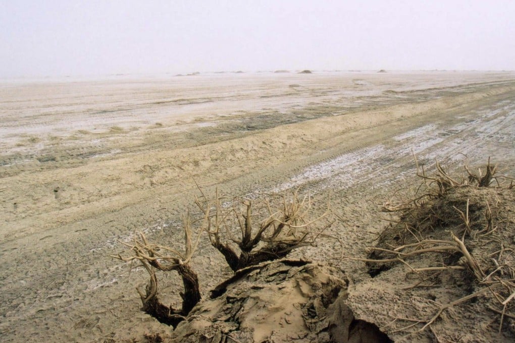 Ilmuwan China Ubah Tanah Asin Jadi Ladang Subur untuk Ketahanan Pangan