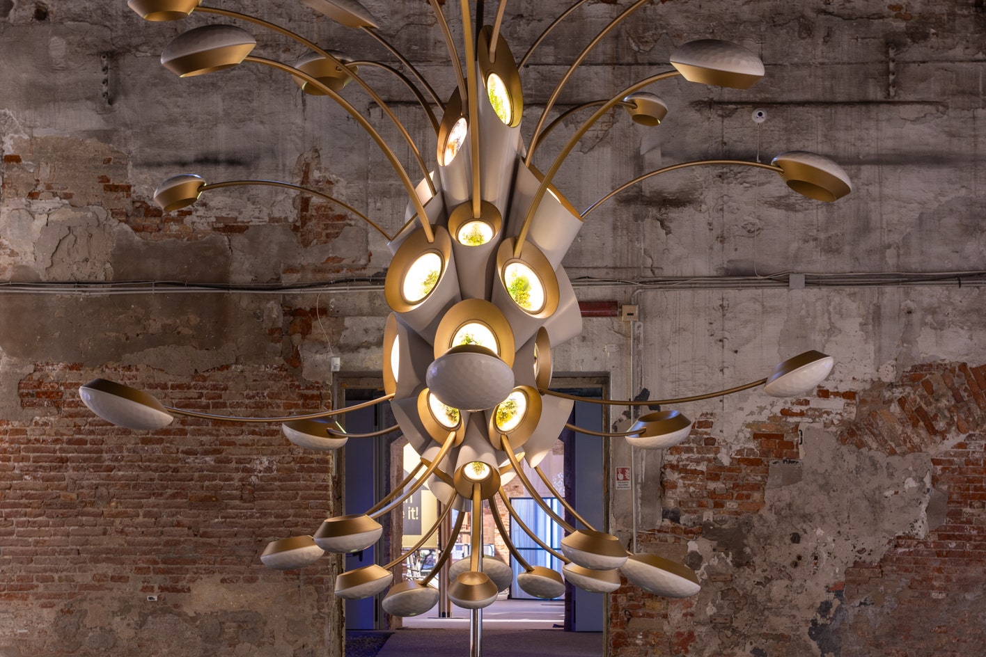 Mewujudkan Taman Antariksa: Menanam Kehidupan dan Harapan di Luar Bumi