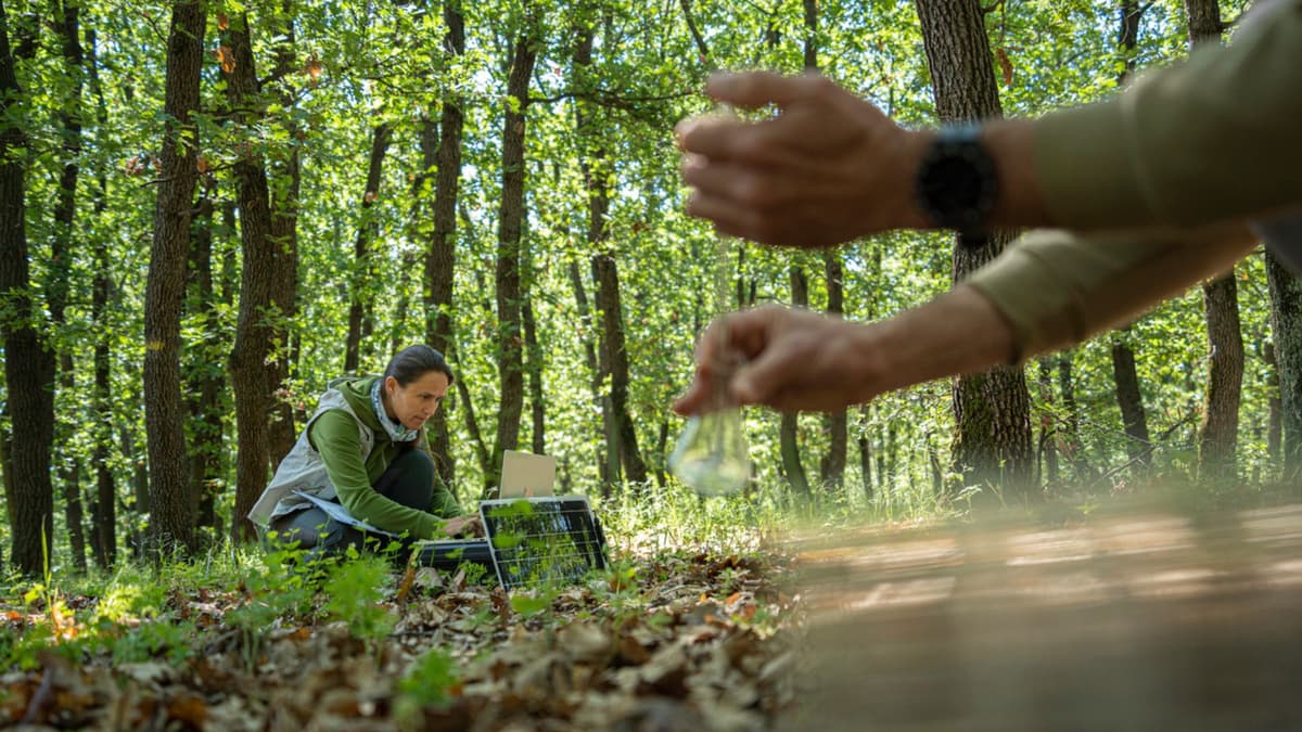 Inovasi AI Mempercepat Pertanian Cerdas dan Ekosistem Berkelanjutan di Purdue