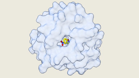 Desain Enzim Sintetis Efisien dengan Algoritma Komputer Tanpa Eksperimen Lama