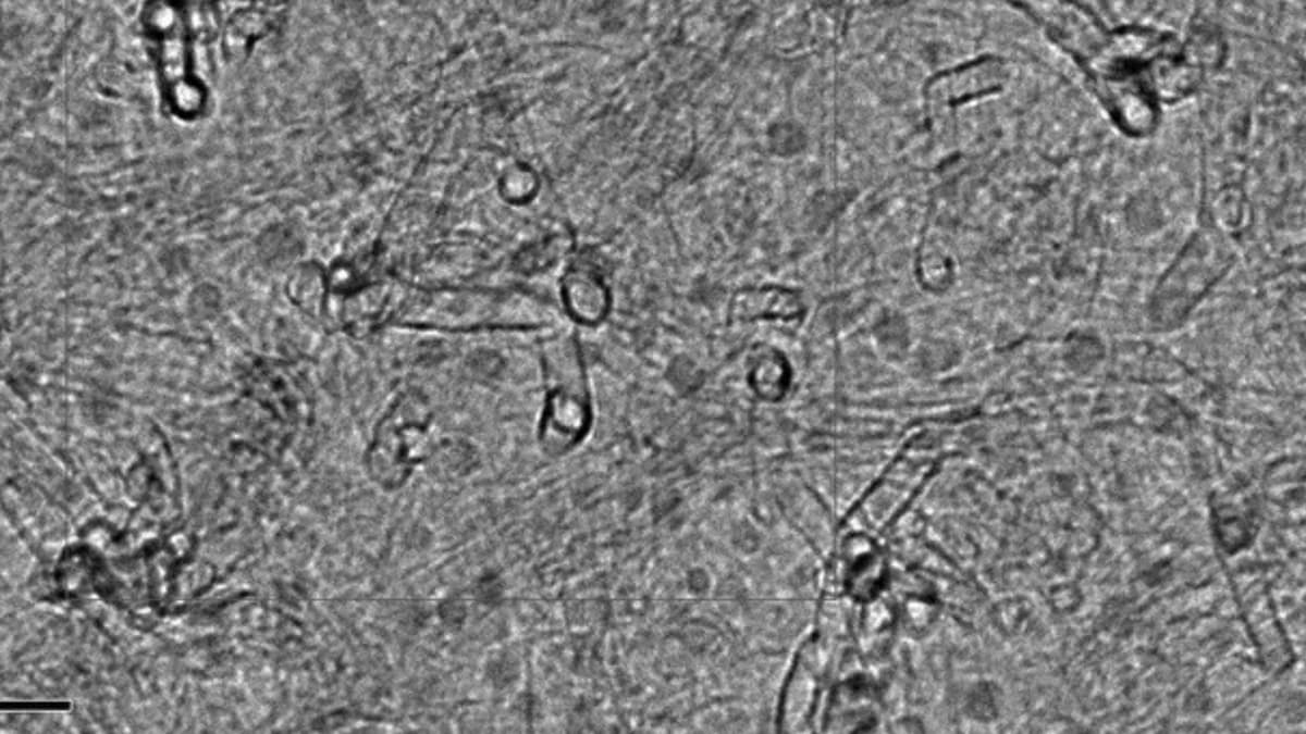 Nanoteknologi dan Pembelajaran Mesin untuk Mengatasi Tantangan Perangkat Elektronik Mini