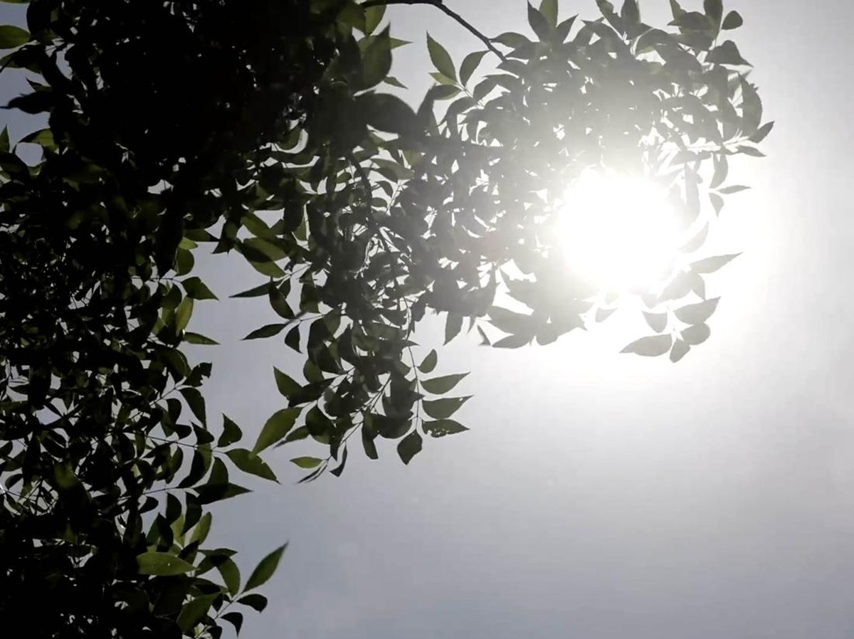 Kadar CO2 Atmosfer Terus Meningkat Tajam, Ancaman Perubahan Iklim dan Cuaca Panas