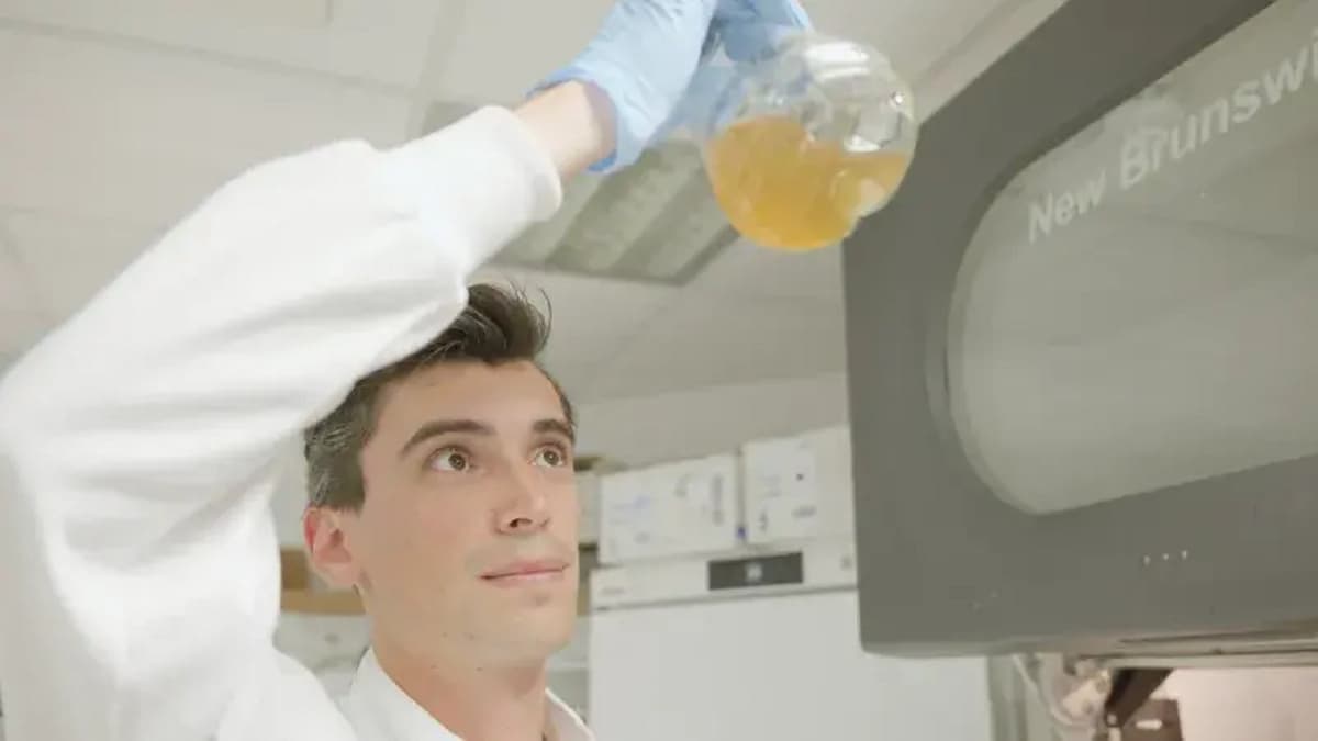 Mengubah Sampah Plastik Jadi Obat Paracetamol Ramah Lingkungan Dengan Bakteri