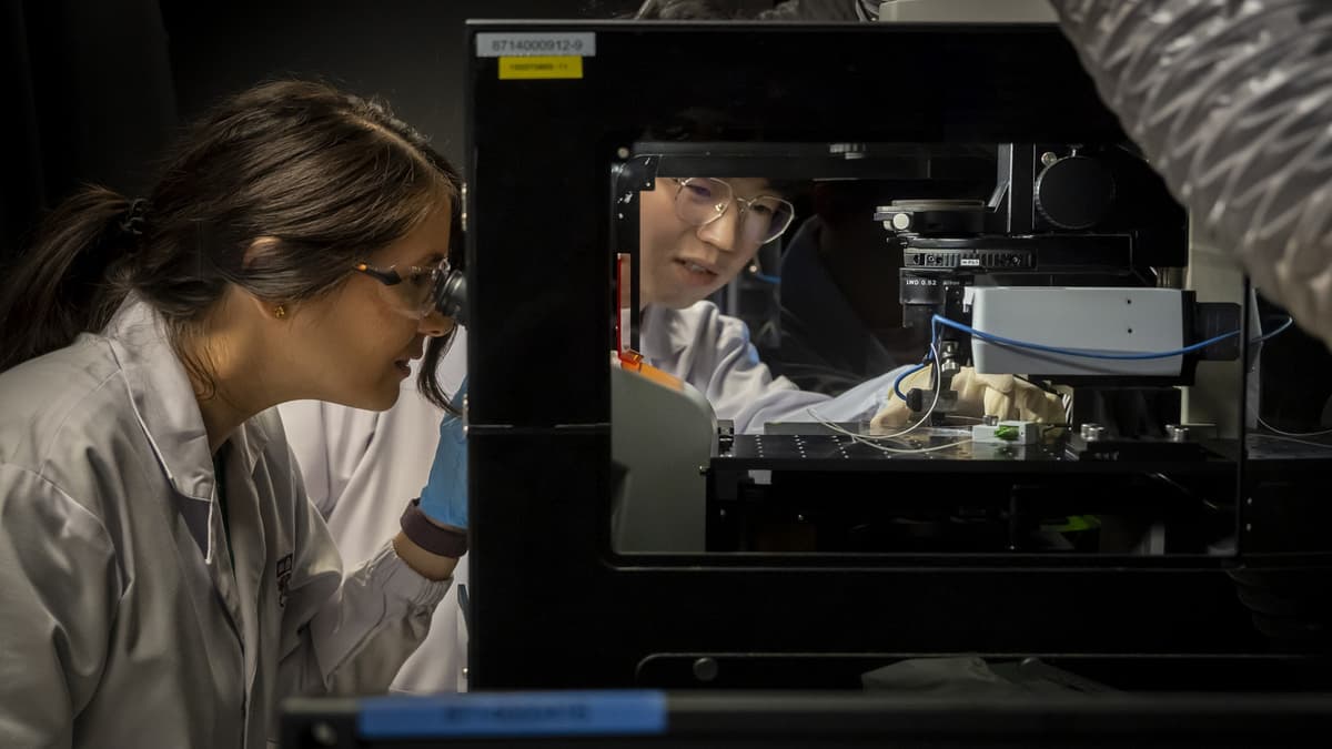 Inovasi DECIPHER: Membalikkan Jam Biologis Jantung Lewat Matrik Ekstraseluler