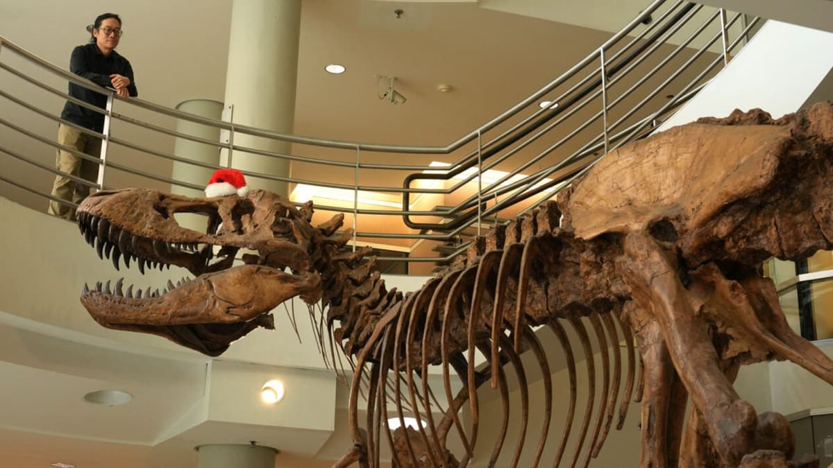 Penemuan Baru: T. rex Berbulu dan Pemakan Bangkai, Bukan Pemburu Cepat