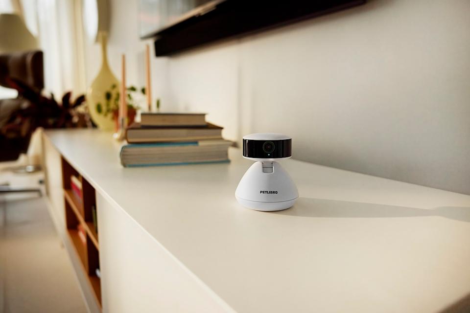 Petlibro Luncurkan Scout Kamera Pintar AI untuk Awasi Hewan Peliharaan Anda
