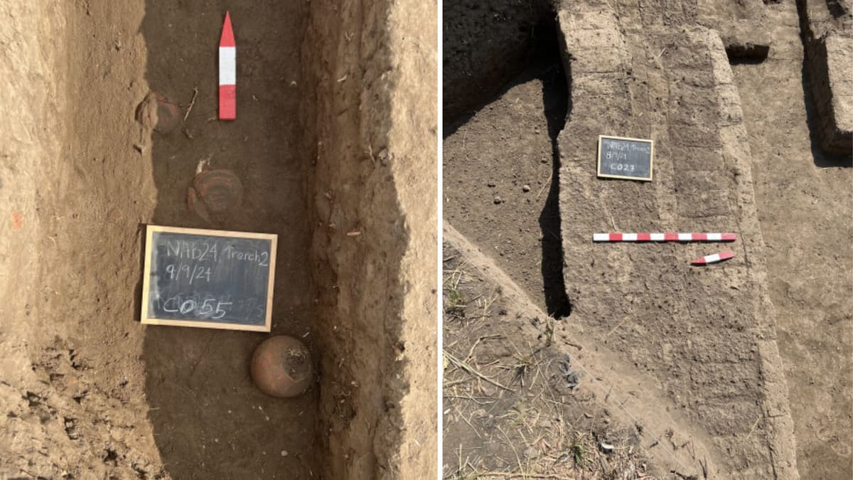 Penemuan Kota Kuno Imet Ungkap Kehidupan Delta Nil Masa Akhir Mesir