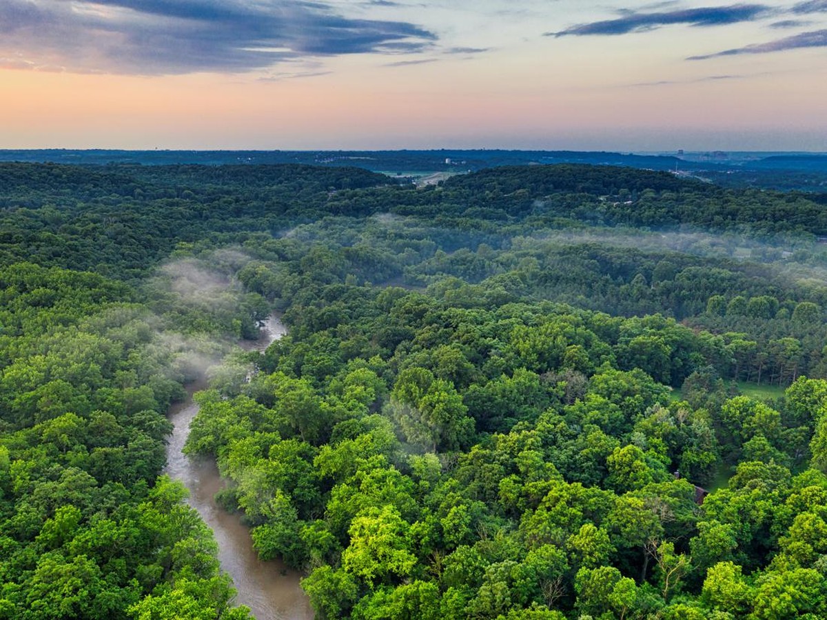 Balasan Netizen Indonesia dan Brasil Soal Rating Bintang 1 di Hutan Amazon dan Gunung Rinjani