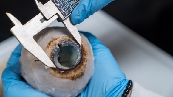 Strategi Baru Jaga Stabilitas Ekonomi di Tengah Volatilitas Pasar Indonesia