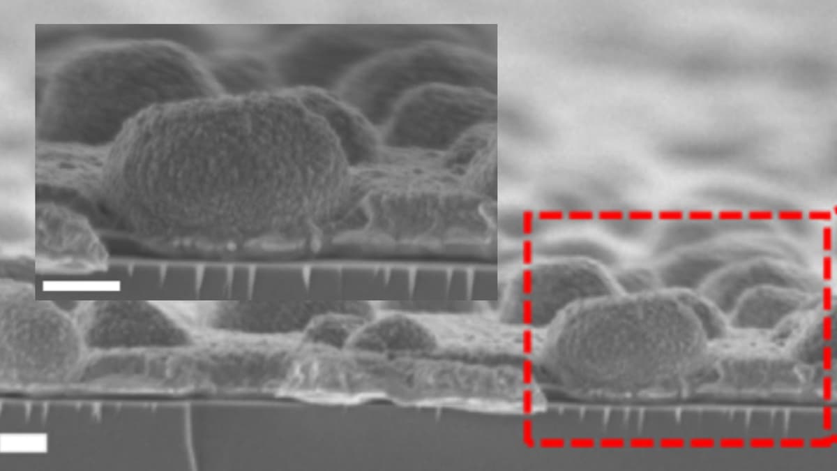 Metasurface Tipis ala Awan untuk Atur Warna dan Suhu Tanpa Terlihat Kamera Panas