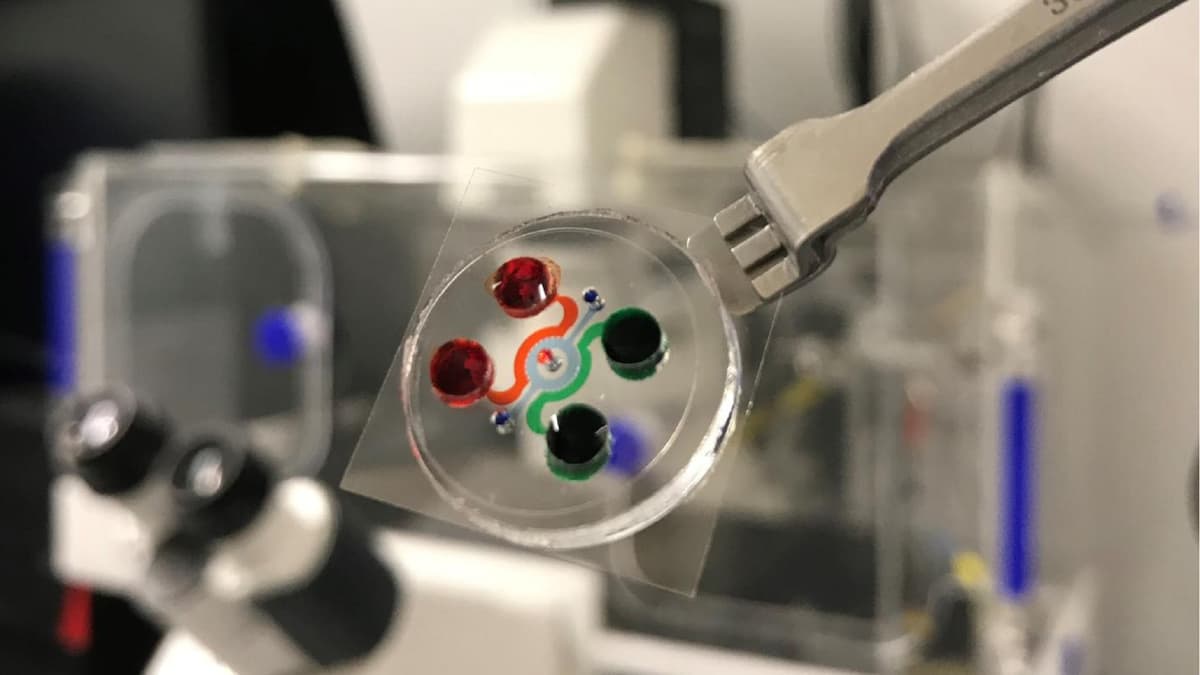 Chip Mini Canggih untuk Uji Terapi Kanker Darah Tanpa Hewan Percobaan