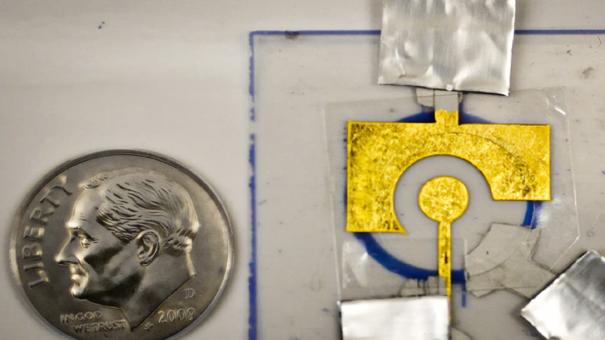 Sensor DNA Murah dan Tahan Panas Bantu Deteksi Kanker dan HIV di Rumah