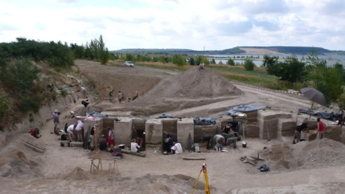 Neanderthal: Perencana Hebat yang Memproduksi Lemak dari Tulang Hewan Besar