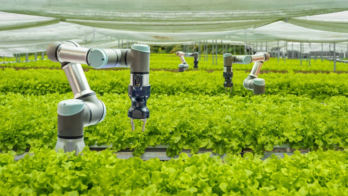 SonicBoom: Sensor Suara Baru Bantu Robot Bertani Navigasi di Tempat Sulit