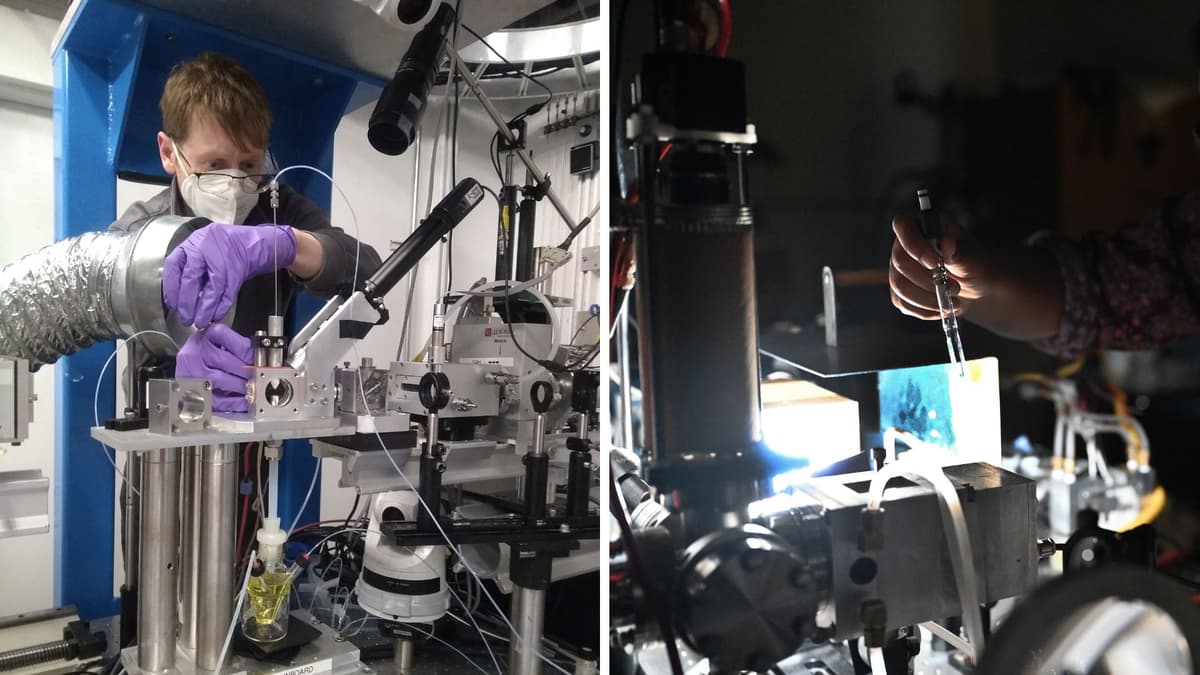 Penemuan Baru Katalis Ni Dengan Cahaya untuk Gantikan Palladium Mahal