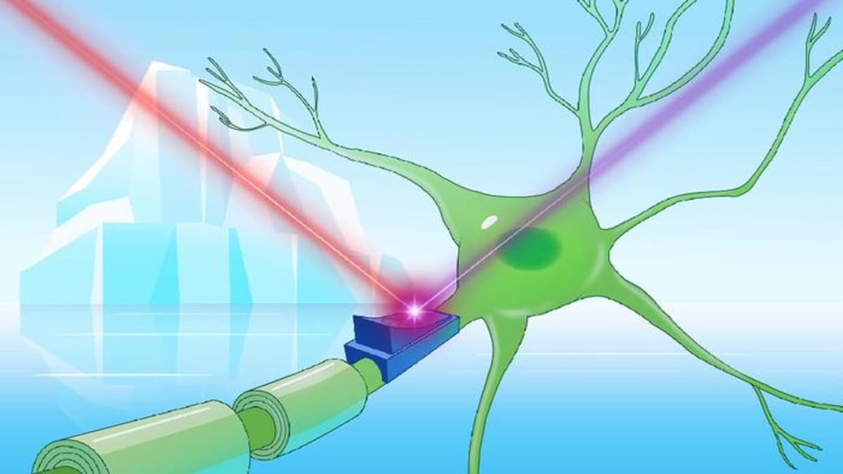 Penemuan Cryorhodopsins: Protein Biru dari Mikroba Dingin untuk Kendali Seluler