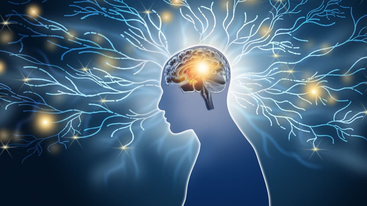 BrainProbe, AI Taiwan yang Diagnosis Skizofrenia dengan Akurat dan Cepat