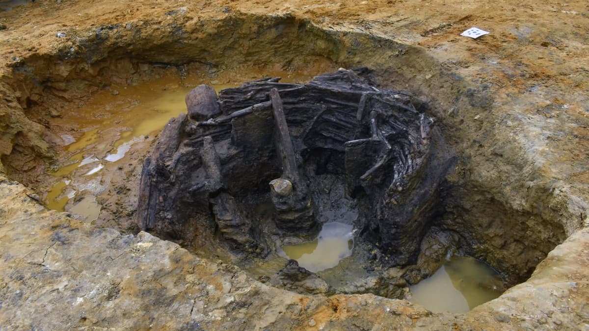 Penemuan Sumur Rotan Romawi di Norfolk Ungkap Rahasia Pemukiman Pedesaan