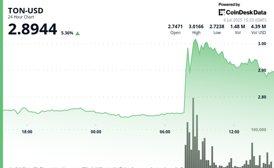 TON Tawarkan Jalur Cepat dan Murah untuk Visa Emas UAE, Tapi Ada Kontroversi