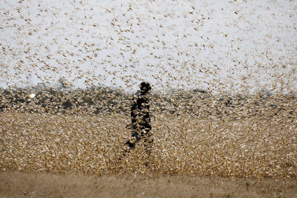 Ahli Ekologi Inggris Gabung China, Kuasai Teknologi Radar Serangga Terbaru