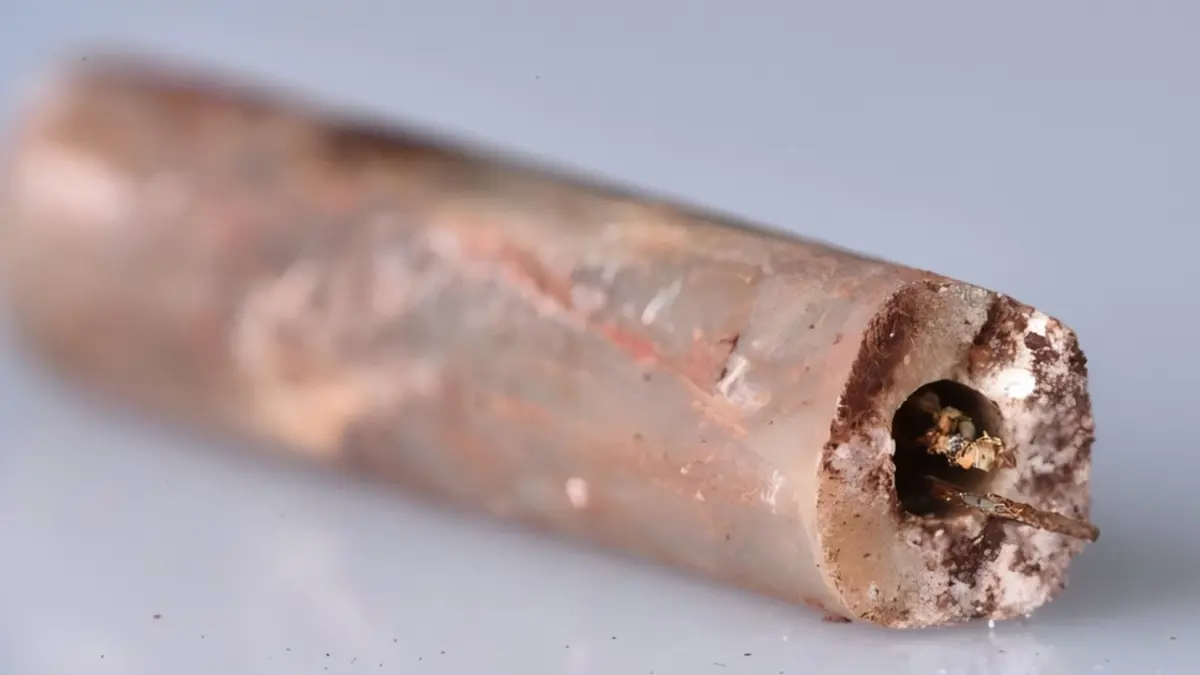 Jarum Akupunktur Baja Berusia 2.000 Tahun Ungkap Kemajuan Dinasti Han