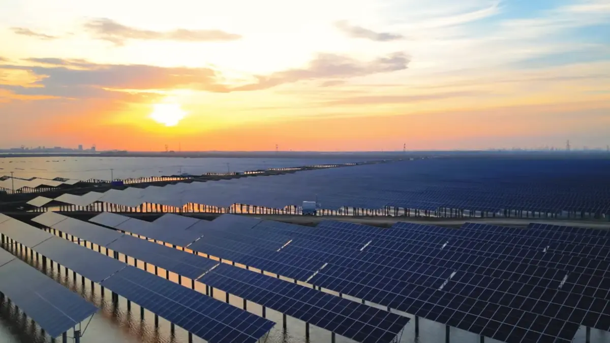 Proyek Hibrida Panel Surya dan Perikanan di Cina Maksimalkan Energi dan Lahan