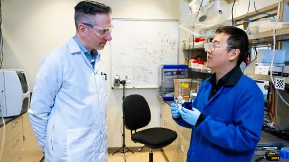 Teknologi Membran Vermikulit Baru: Cara Efisien Ekstrak Lithium dari Air Laut