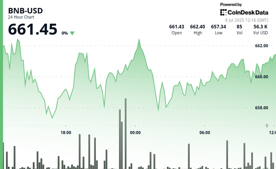 BNB Stabil di Tengah Ketegangan Perdagangan dan Pengawasan Regulasi Binance