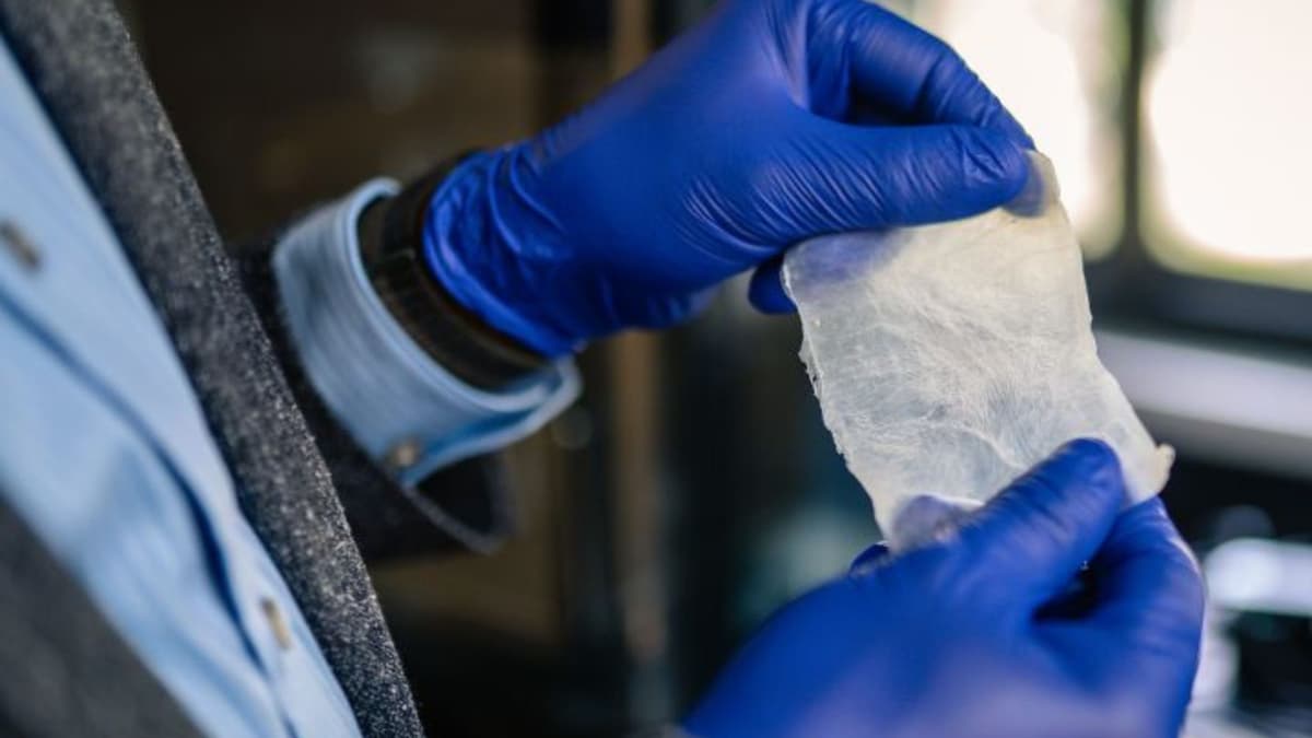 Inovasi Lembaran Selulosa Bakteri Pengganti Plastik yang Kuat dan Ramah Lingkungan