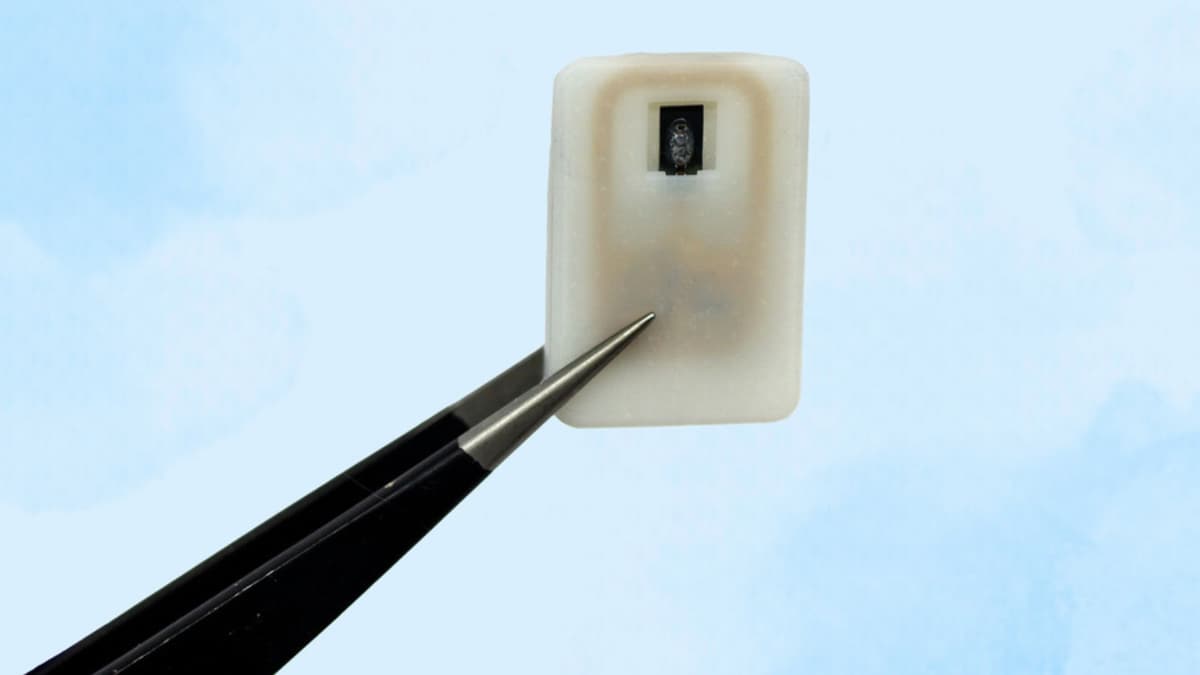 Implan Darurat MIT Lindungi Penderita Diabetes dari Hipoglikemia Berbahaya