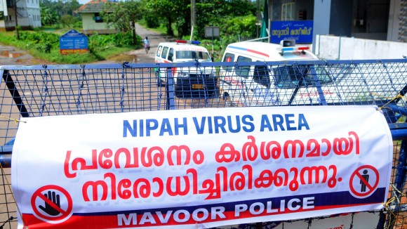 Terapi Antibodi Gabungan Terobosan Baru Melindungi dari Virus Nipah Mematikan