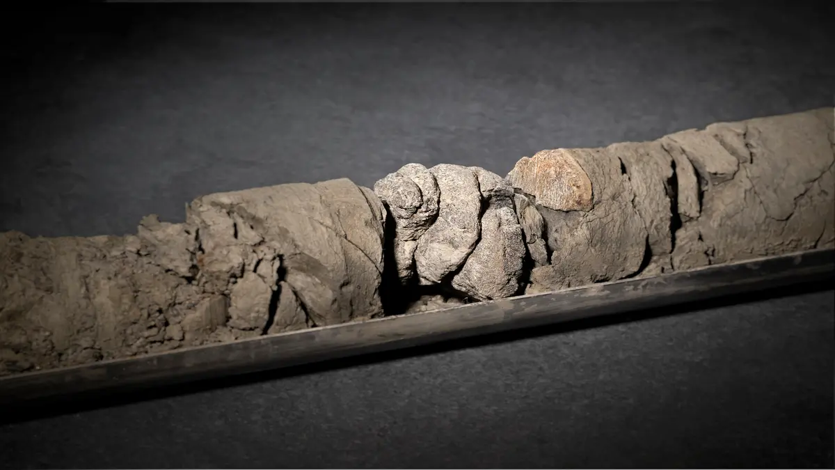 Penemuan Fosil Dinosaurus Tertua di Denver dari Proyek Energi Geotermal