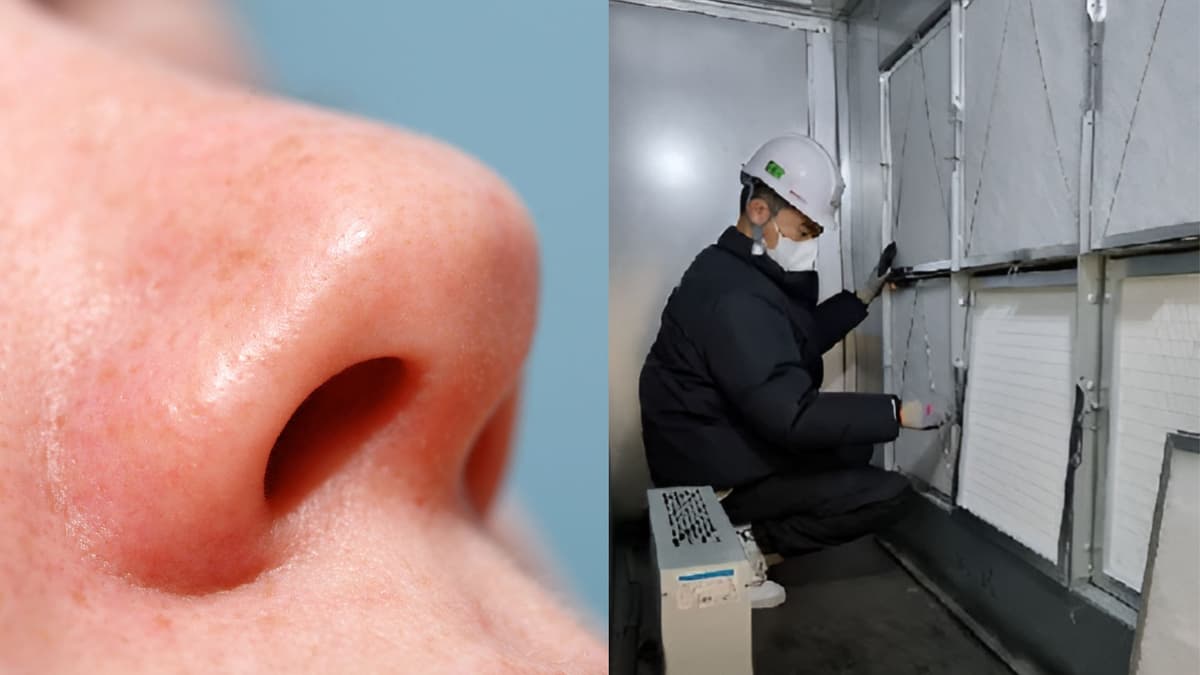 Filter Udara Baru Tiru Lendir Hidung untuk Tangkap Debu Lebih Efektif