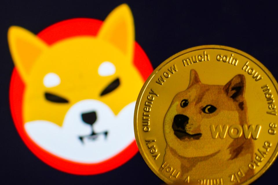 Dogecoin dan Shiba Inu Pimpin Rally Spektakuler di Pasar Kripto