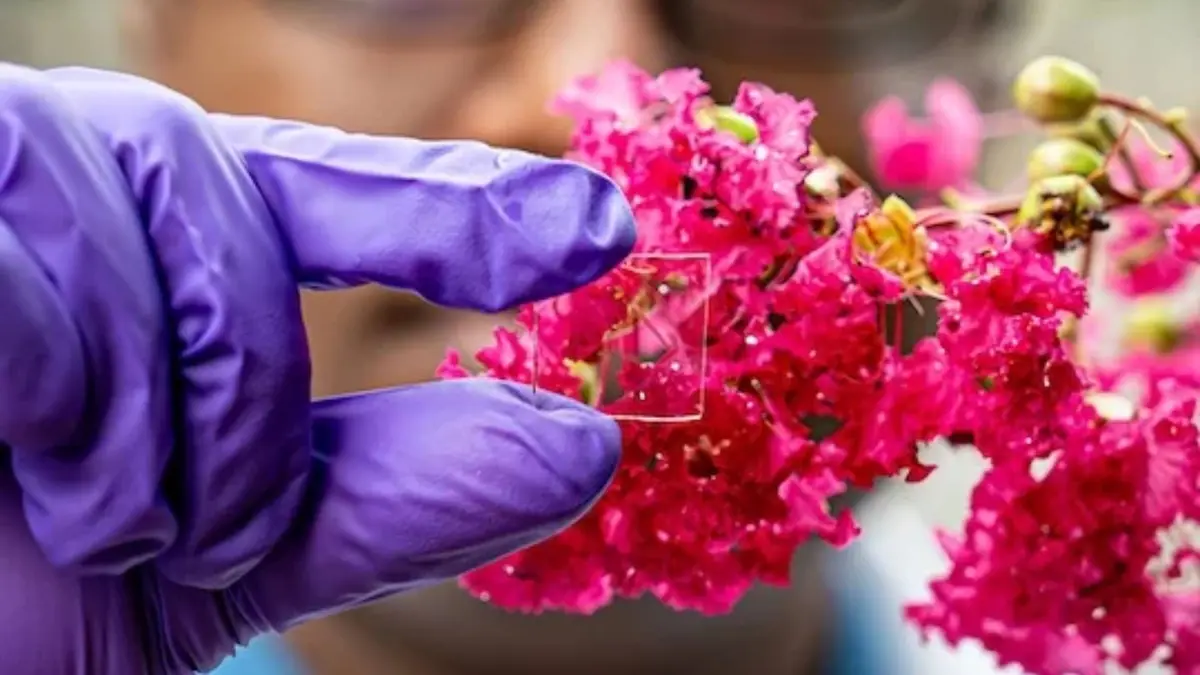 Pelapis Kaca Baru Tahan Panas dan Cuaca untuk Hemat Energi Bangunan