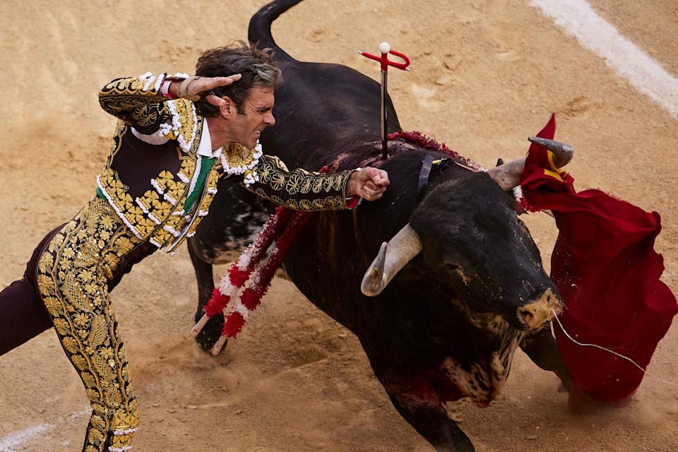 Kenaikan Besar XLM dan Prediksi Musim Altcoin Monster Usai Bitcoin Rekor