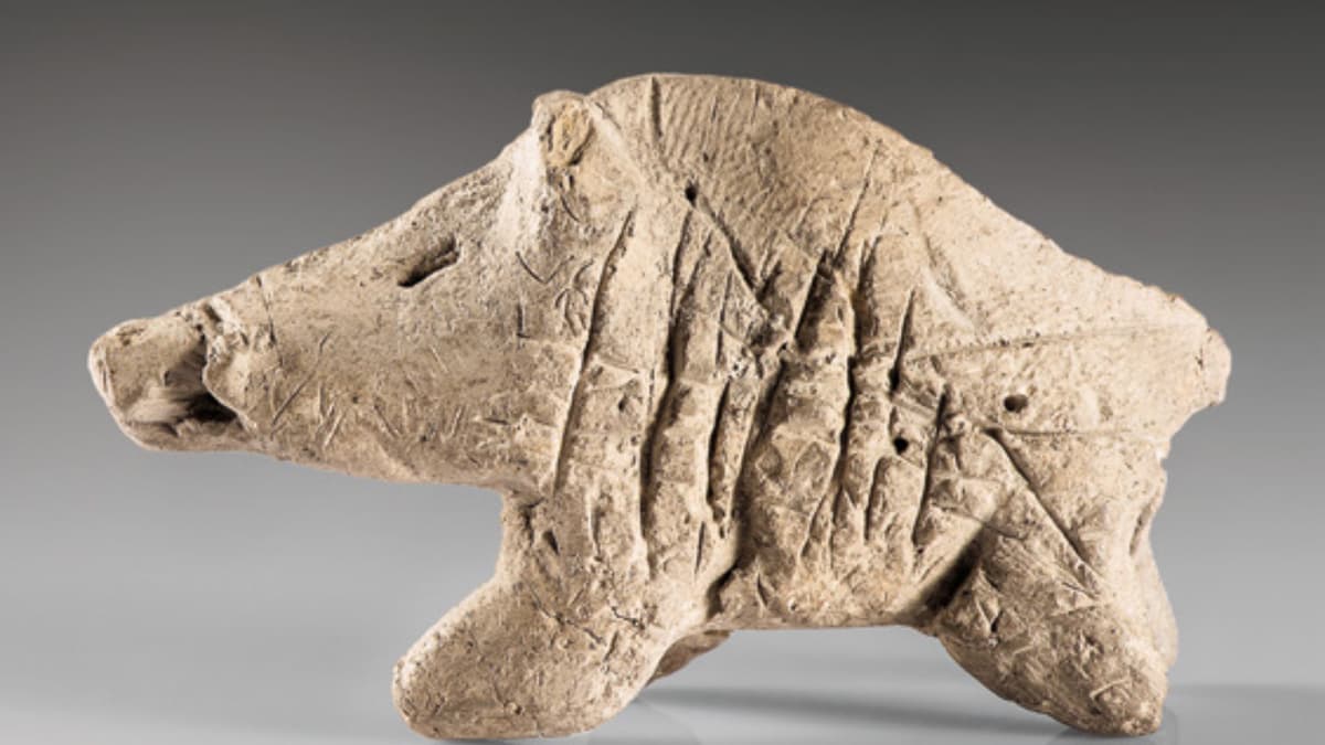 Pesta Babi Hutan di Iran Ungkap Awal Mula Masyarakat Pertanian