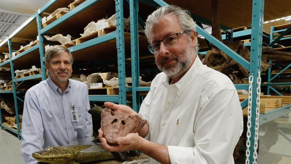 Neil Shubin Dipilih Jadi Ketua NAS Menghadapi Tantangan Besar dari Pemerintahan Trump