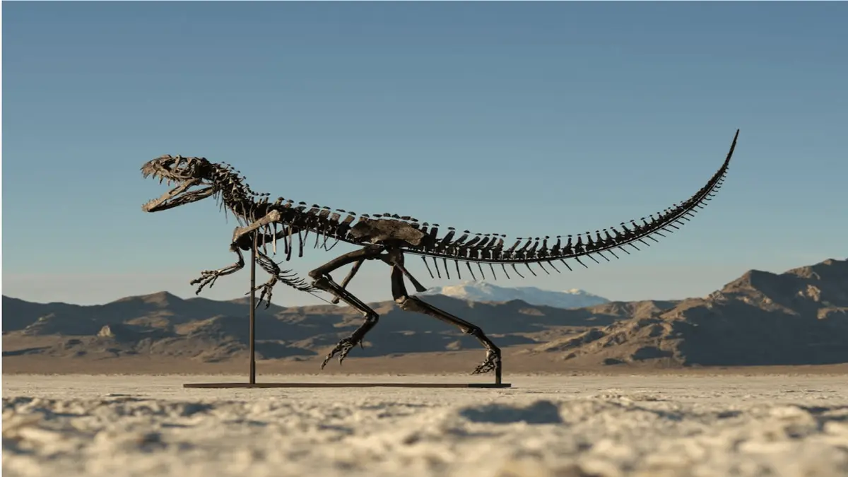 Lelang Juvenile Ceratosaurus Terlengkap di Dunia Senilai Jutaan Dolar