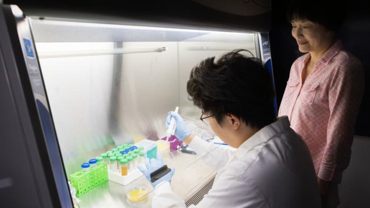 Membuat Plastik Ramah Lingkungan dari Limbah Makanan untuk Kurangi Sampah