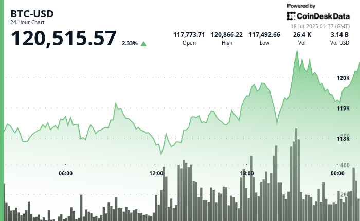 Pasar Kripto Menguat dan Ancaman Kejahatan Digital Meningkat di 2025