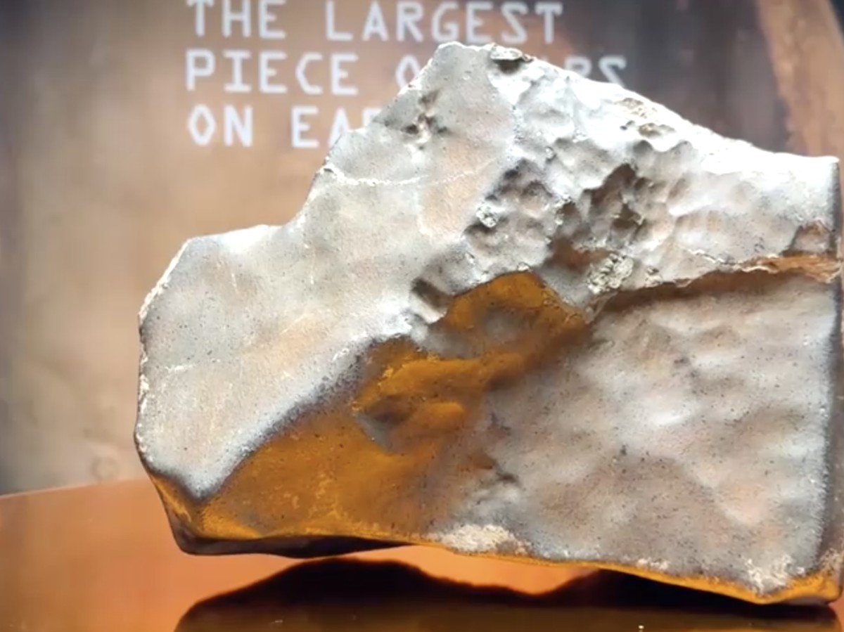 Meteorit Mars Terbesar Terjual Rp 86 Miliar, Antara Ilmu dan Koleksi