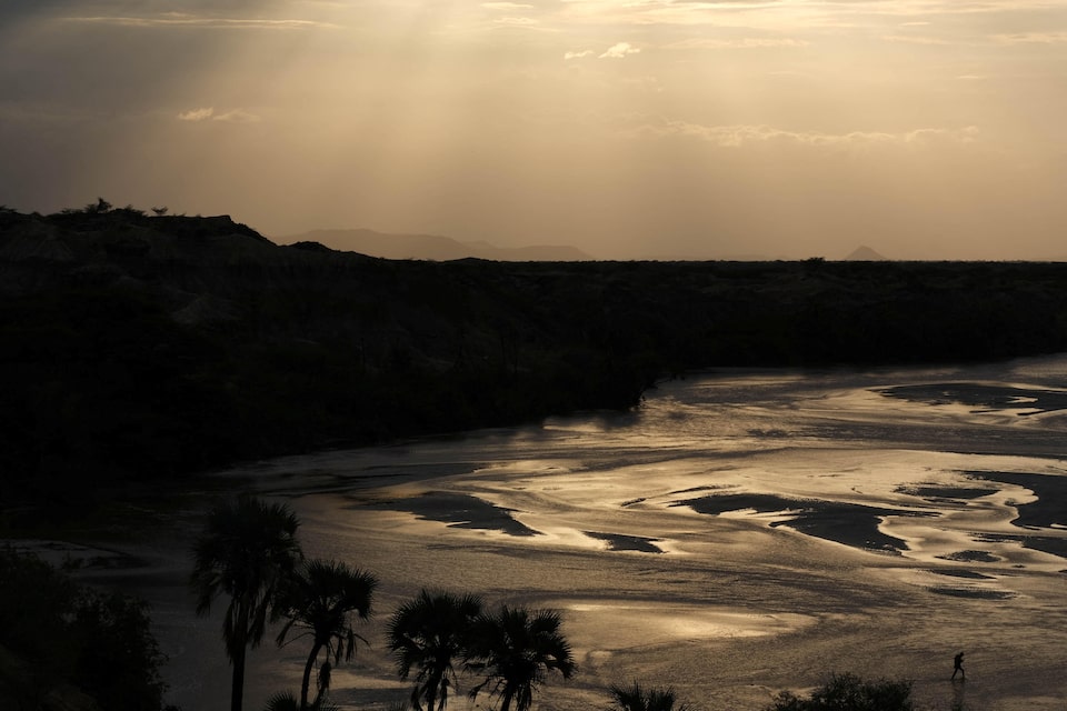 Penelitian Protein Kuno Membuka Pintu Memahami Evolusi Puluhan Juta Tahun
