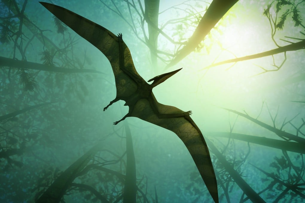 Penemuan Pertama Bukti Pterosaurus Purba Memakan Tanaman di Cina