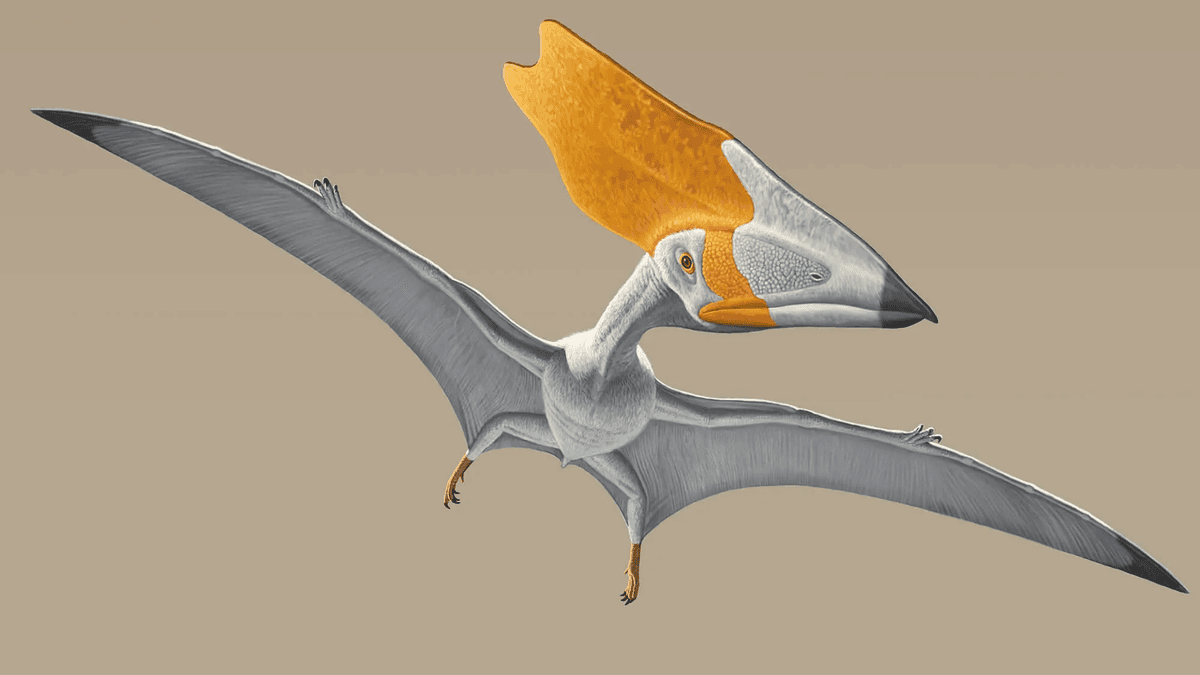 Fosil Pterosaurus Temukan Bukti Langsung Diet Tumbuhan Pertama Kali