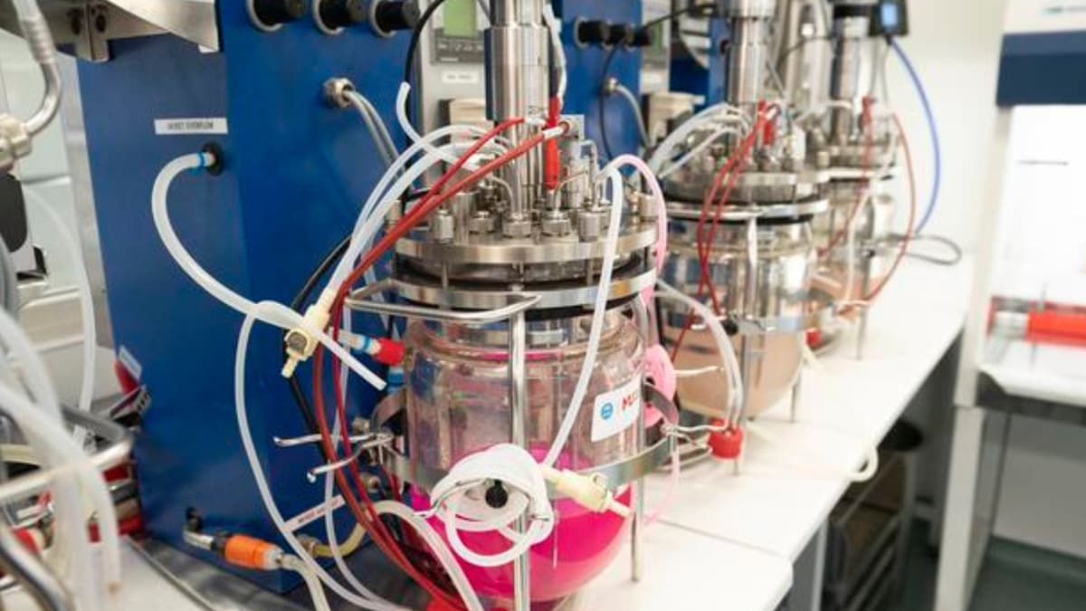 Inovasi Bioplastik Ramah Lingkungan yang Menghilang Tanpa Jejak