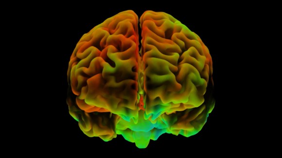 Orang Optimis Punya Pola Aktivitas Otak Serupa dan Bedakan Peristiwa Positif Lebih Jelas